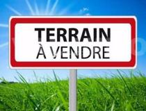 annonce vente terrain lire 49530