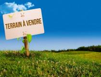 annonce vente terrain locmalo 56160