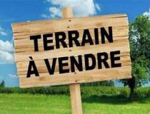 annonce vente terrain lorris 45260