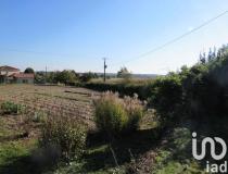 annonce vente terrain loudun 86200