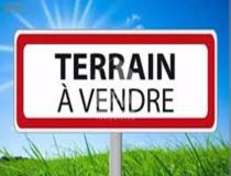 annonce vente terrain lumbres 62380