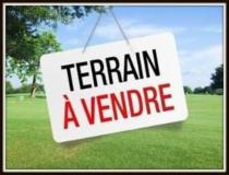 annonce vente terrain macouria 97355