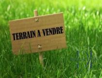 annonce vente terrain magescq 40140