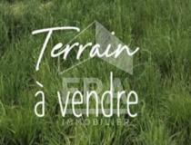 annonce vente terrain maillane 13910