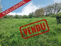 annonce vente terrain maintenay 62870