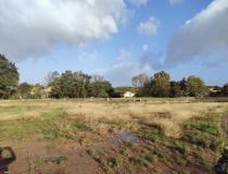 Vente terrain Mareuil Sur Lay Dissais 85320 [4/7676858]