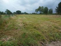 annonce vente terrain maroilles 59550