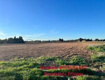 annonce vente terrain marsillargues 34590