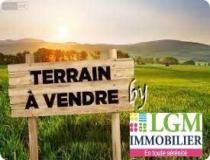 annonce vente terrain matoury 97351