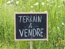 annonce vente terrain mauriac 33540