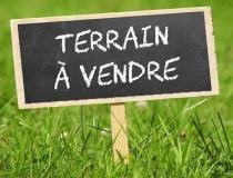 annonce vente terrain mesanger 44522