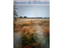 Vente terrain Meschers Sur Gironde 17132 [4/7753208]