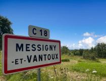 annonce vente terrain messigny et vantoux 21380