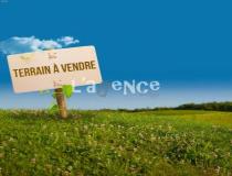 annonce vente terrain messy 77410