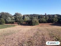 Immobilier terrain Molieres 82220 [4/7291273]