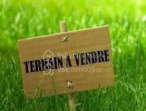 annonce vente terrain montauban 82000