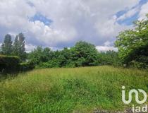 annonce vente terrain montguyon 17270