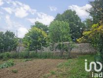 annonce vente terrain montmachoux 77940