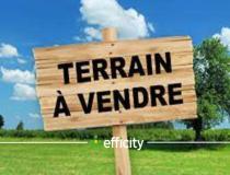 annonce vente terrain montsinery tonnegrande 97356