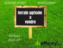 annonce vente terrain montsinery tonnegrande 97356