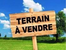 annonce vente terrain montsinery tonnegrande 97356