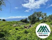 annonce vente terrain moorea maiao 98728