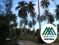 annonce vente terrain moorea maiao 98728