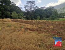 annonce vente terrain moorea maiao 98728