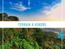 annonce vente terrain moorea maiao 98728