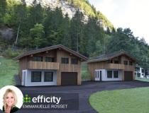 annonce vente terrain morzine 74110