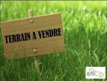 annonce vente terrain mourmelon le grand 51400