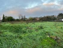 Immobilier terrain Mouzeuil St Martin 85370 [4/7654139]