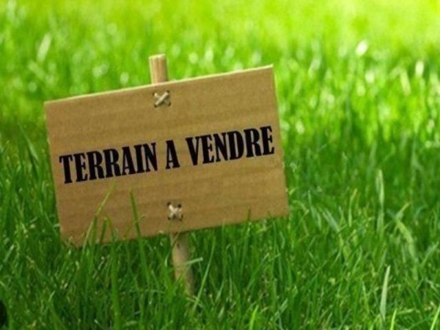 annonce vente terrain mouzeuil st martin 85370