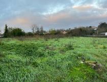 Vente terrain Mouzeuil St Martin 85370 [4/7653053]