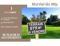 annonce vente terrain murviel les montpellier 34570