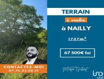 Immobilier terrain Nailly 89100 [4/7774600]
