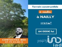 annonce vente terrain nailly 89100