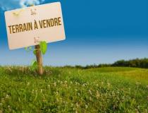 annonce vente terrain neufchateau 88300