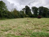 annonce vente terrain neufchatel en bray 76270