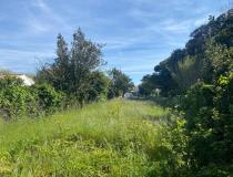 vente terrain Noirmoutier En L'Ile - 7724406:4