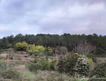 annonce vente terrain olargues 34390