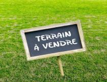 annonce vente terrain olivet 45160