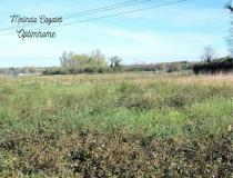 annonce vente terrain os marsillon 64150