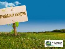 annonce vente terrain papara 98712