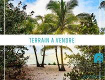 annonce vente terrain papeete 98714