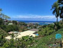 annonce vente terrain papeete 98714