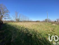 annonce vente terrain paray le monial 71600