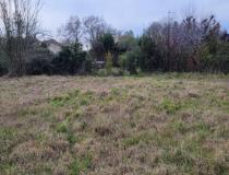 annonce vente terrain parempuyre 33290