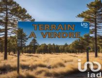 annonce vente terrain parentis en born 40160