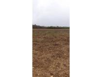 annonce vente terrain paucourt 45200